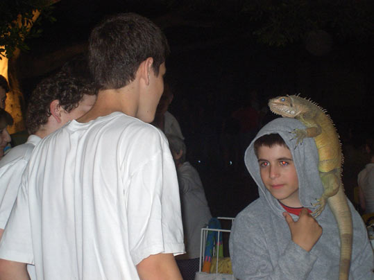 שלו,אופיר,שחם והאיגואנה אנה