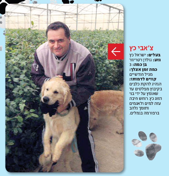 ישראל כץ וכלבו