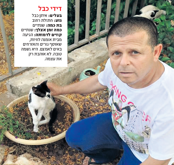 איתן כבל וחתולתו