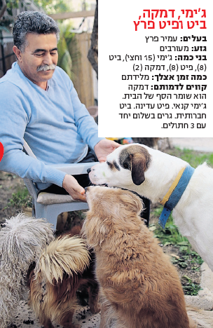 עמיר פרץ וכלביו