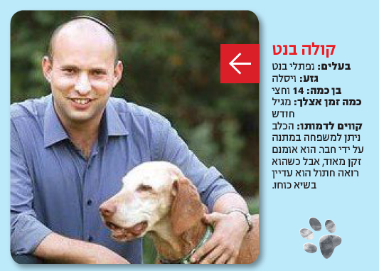 נפתלי בנט וכלבו - כלב ויסלה