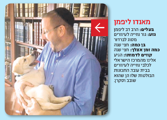 דוב ליפמן וכלבו