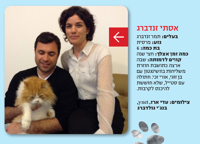 תמר זנדברג וחתולתה