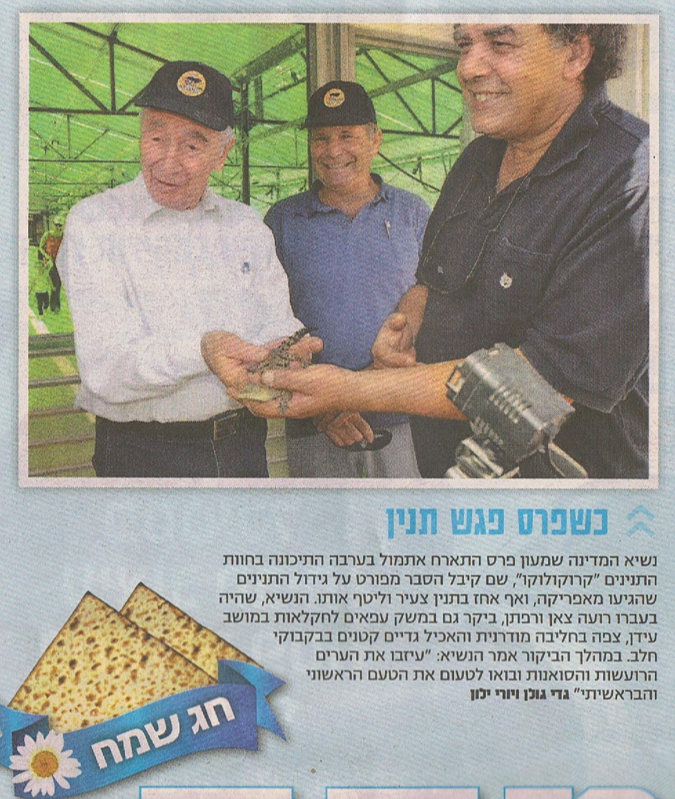 שמעון פרס ותנין