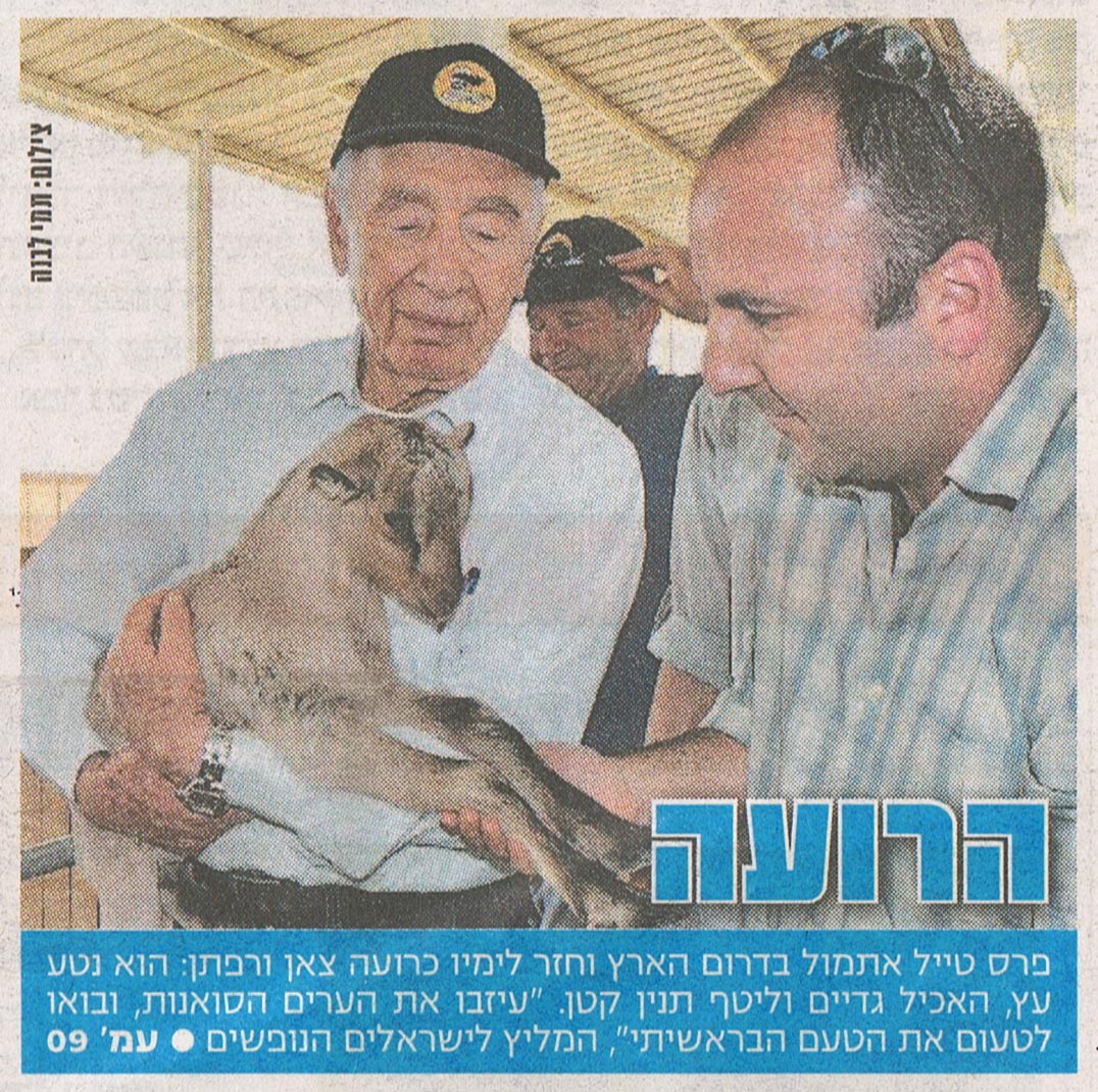 שמעון פרס וגדי